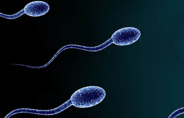 How To Cure Abnormal Sperm Abnormal Sperm Treatment How To Cure