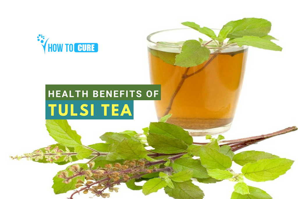 15 Tulsi Tea Health Benefits For Long-term Which Relieve Stress