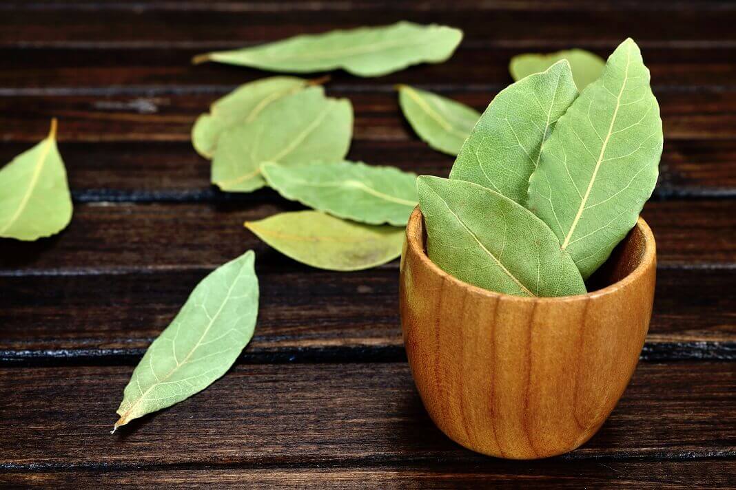Benefits Of Bay Leaves: Nutritional Profile | How To Cure