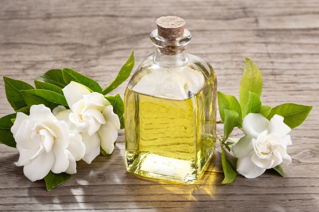 10 Effective Health Benefits Of Gardenia Essential Oil | How To Cure